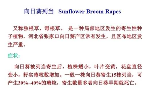 無標題.jpg向_副本.jpg