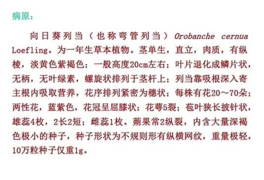 無標題.jpg向1_副本.jpg
