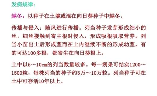 無標題.jpg向4_副本.jpg