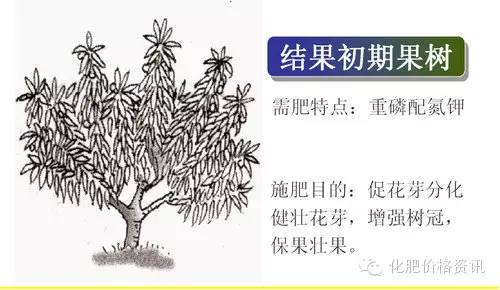 640 (1).jpg 640 (1).jpg