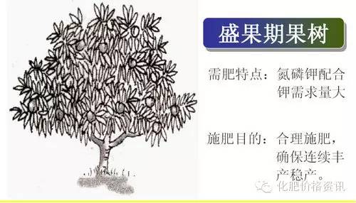 640 (2).jpg 640 (2).jpg