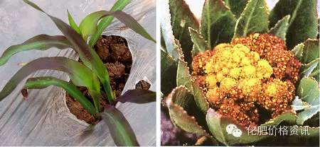 640 (1).jpg 640 (1).jpg