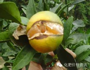 640 (2).jpg 640 (2).jpg