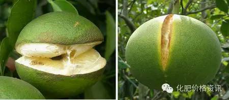 640 (3).jpg 640 (3).jpg