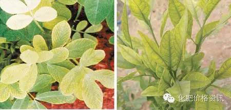 640 (1).jpg 640 (1).jpg