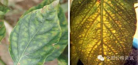 微信圖片_20240616094532.jpg 微信圖片_20240616094532.jpg